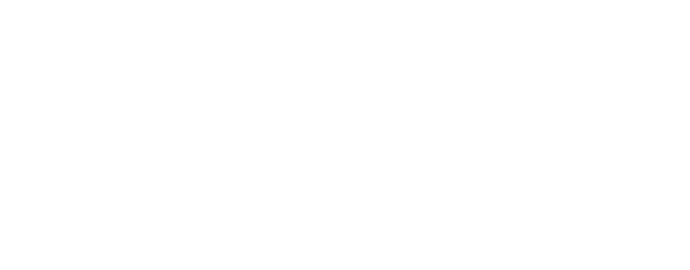 The Berry Tea Shop