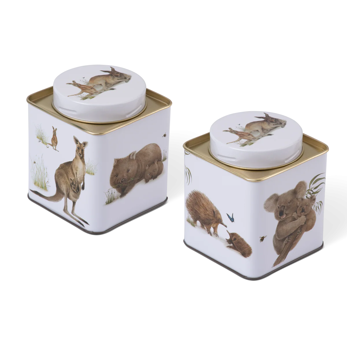 Australian Wildlife Animals Tea Caddy Tin