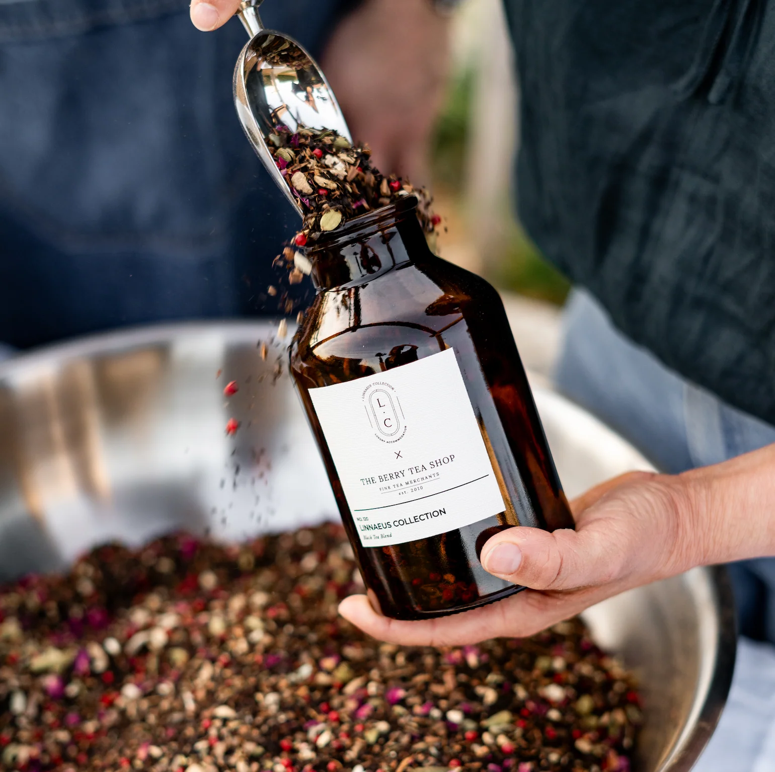 Linnaeus Collection - Black Tea Blend - Image 5