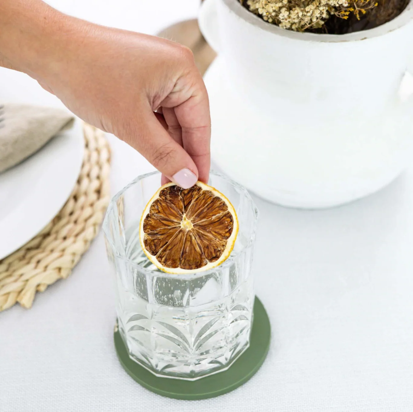 Seed + Stow Dried Lemon Slices - Image 4